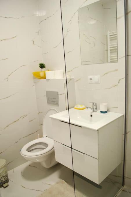 Ferienwohnung 3 Dream Apartmant 3+Parcare Gratuita Oradea Exterior foto